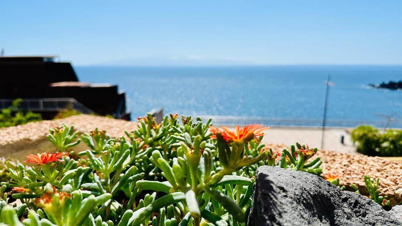 Serigor Bahia Ocean View Puerto de Santiago  Exterior foto